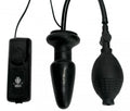 Fanny Hill uppblåsbar plug