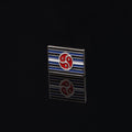 Pins BDSM Flagga