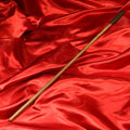 Valnöt Discipline Cane